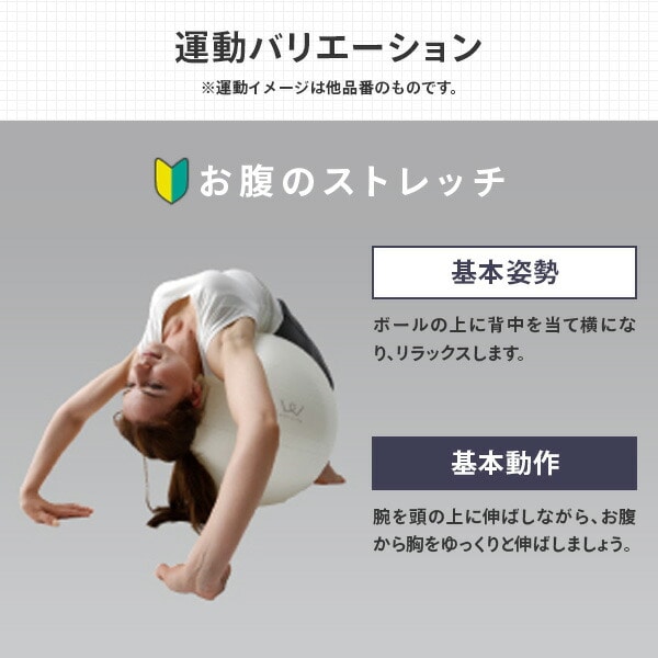 エクササイズボール 75cm 空気入れ 運動マニュアル付き 適応身長 約170cm以上 WBN075 アルインコ ALINCO