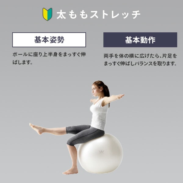 エクササイズボール 75cm 空気入れ 運動マニュアル付き 適応身長 約170cm以上 WBN075 アルインコ ALINCO
