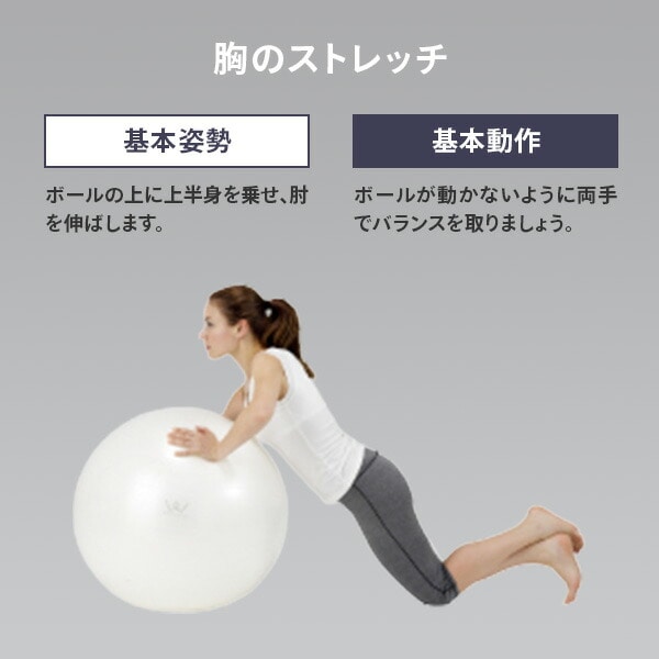 エクササイズボール 75cm 空気入れ 運動マニュアル付き 適応身長 約170cm以上 WBN075 アルインコ ALINCO