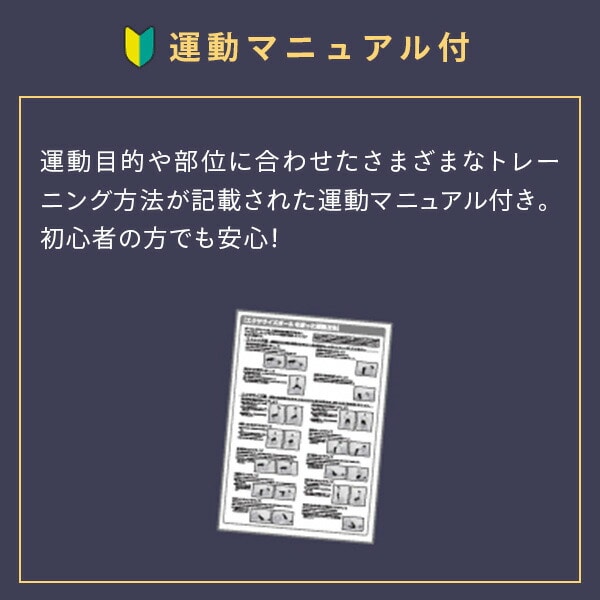 エクササイズボール 75cm 空気入れ 運動マニュアル付き 適応身長 約170cm以上 WBN075 アルインコ ALINCO