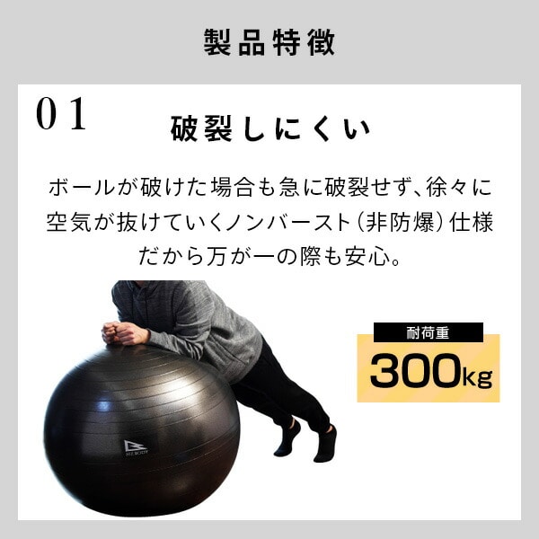 エクササイズボール 75cm 空気入れ 運動マニュアル付き 適応身長 約170cm以上 WBN075 アルインコ ALINCO