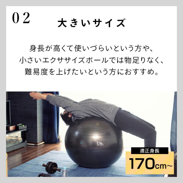 エクササイズボール 75cm 空気入れ 運動マニュアル付き 適応身長 約170cm以上 WBN075 アルインコ ALINCO