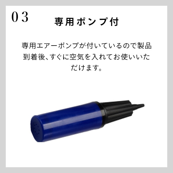 エクササイズボール 75cm 空気入れ 運動マニュアル付き 適応身長 約170cm以上 WBN075 アルインコ ALINCO