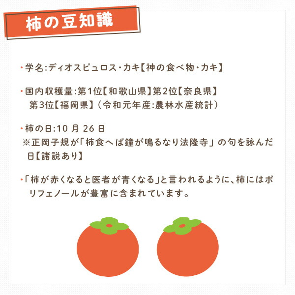 サプリメント 柿ダノミ 60粒入り(約1か月分) 住江織物