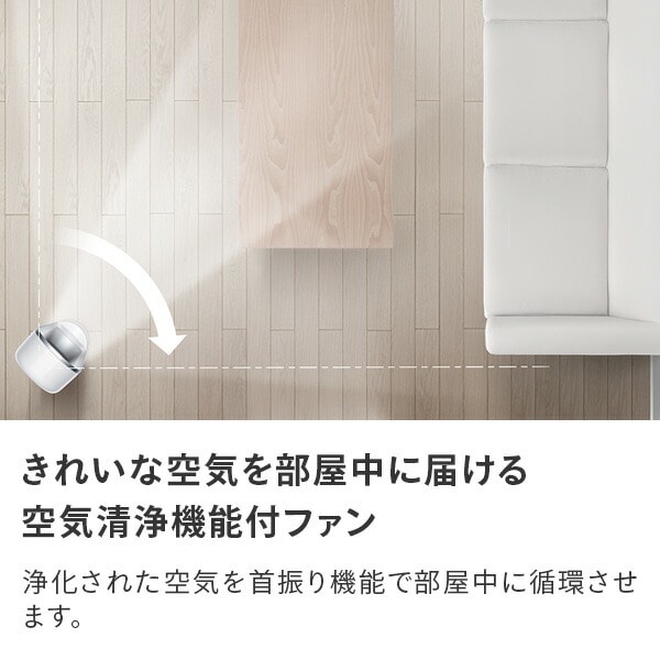 ダイソン Pure Cool 空気清浄機能付ファン TP00 ダイソン dyson【10％オフクーポン対象】