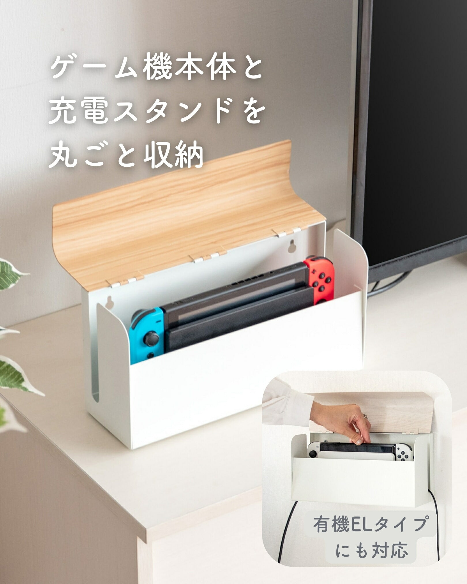 Nintendo Switch本体&収納ケース&HORIコン