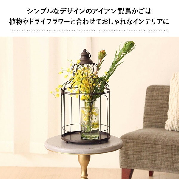 販売終了】デイスプレイ バードケージ アイアン DTDS2250 スパイス