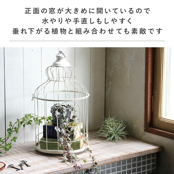 販売終了】デイスプレイ バードケージ アイアン DTDS2250 スパイス