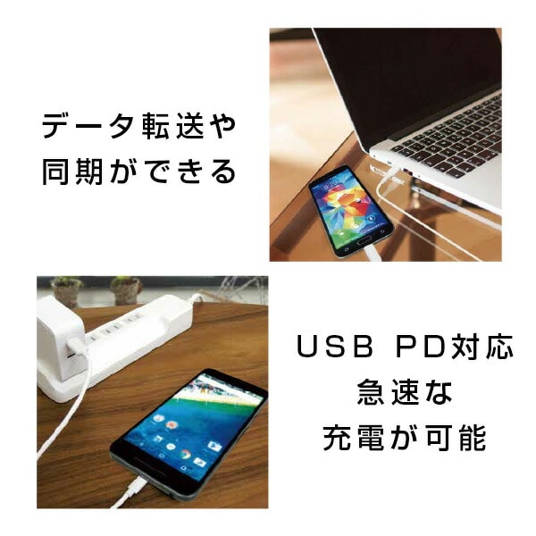 充電用 USBケーブル CtoC Type-C 通信ケーブル 急速充電 1mタイプ  USB-IF正規認証品 CHTCCBC100-WT トップランド TOPLAND