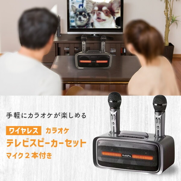 手元スピーカー カラオケマイクセット マイク2本 ST-2028BT とう