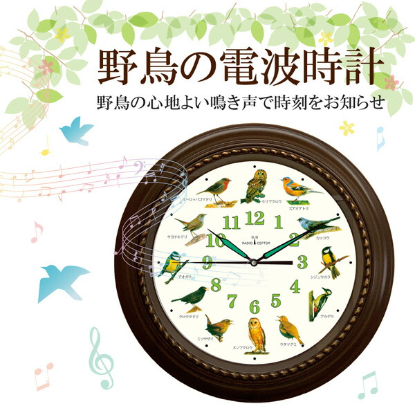 野鳥の電波壁掛け時計 12種類の野鳥のさえずり HO-20251 マリン商事 ...