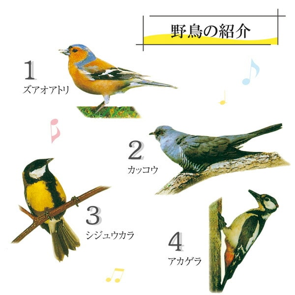 【10％オフクーポン対象】野鳥の電波壁掛け時計 12種類の野鳥のさえずり 日本標準 電波 自動受信 HO-20251 マリン商事