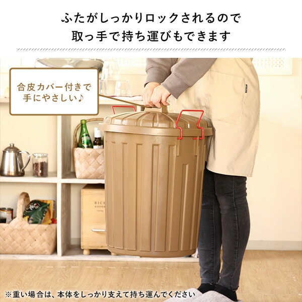 PALE×PAIL ふた付きゴミ箱 丸型 45L IWLY2210 スパイス SPICE OF LIFE