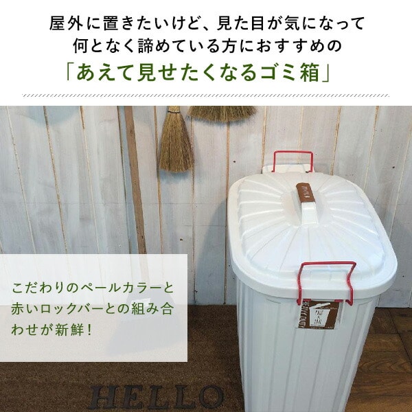 PALE×PAIL ふた付きゴミ箱 60L IWLY4010 スパイス SPICE OF LIFE