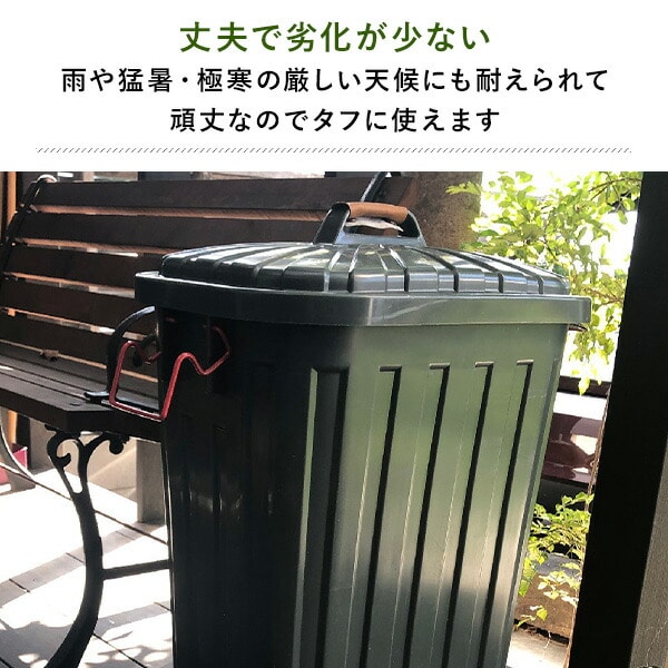 PALE×PAIL ふた付きゴミ箱 60L IWLY4010 スパイス SPICE OF LIFE