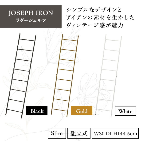 販売終了】JOSEPH IRON ラダーシェルフ スリム 組立 DTFF9230 スパイス