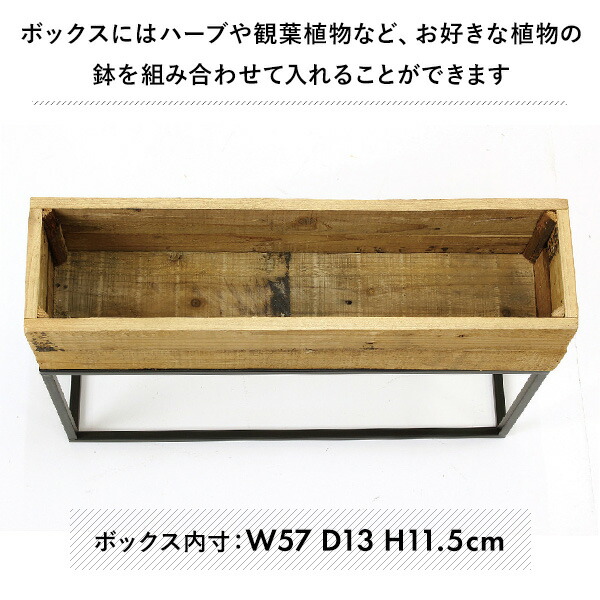 レクトプランターボックススタンド Sサイズ TJXK2911 スパイス SPICE OF LIFE