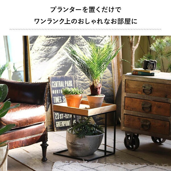 スクエアプランタートレースタンド TJXK2930 スパイス SPICE OF LIFE