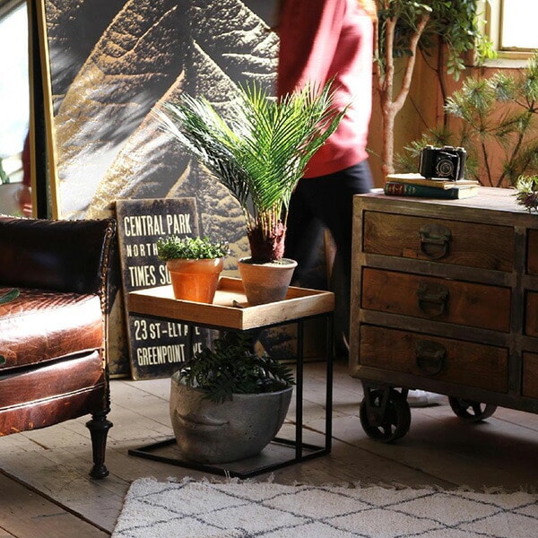 スクエアプランタートレースタンド TJXK2930 スパイス SPICE OF LIFE