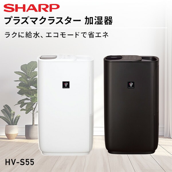 SHARP 加熱気化式加湿器 HV-S75-W - 加湿器
