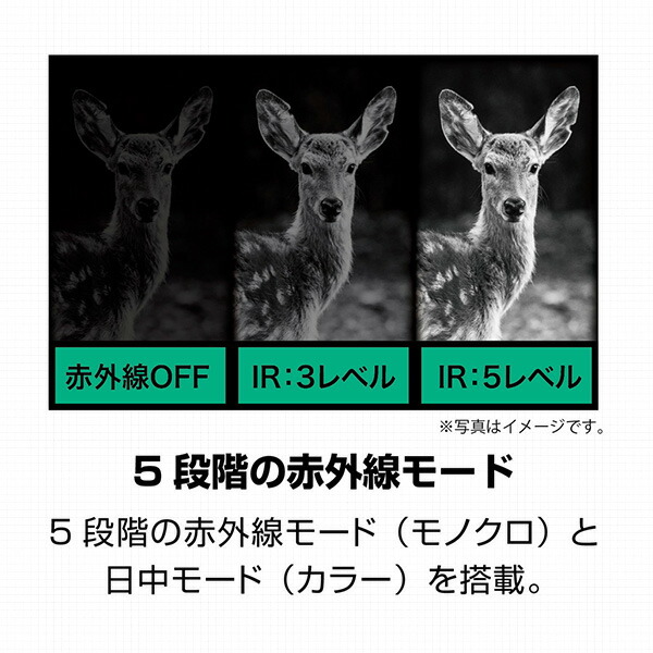 IRナイトレコーダー 遠赤外線暗視カメラ 撮影機能付き KC-NS04 ケンコー KENKO