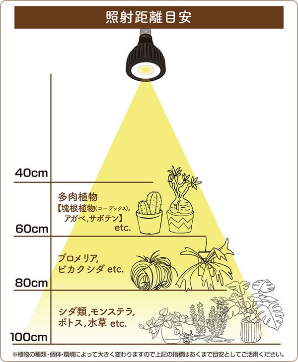 EVERSUN365 エバーサン サンロクゴー EVERSUN365 ゼンスイ【10％オフクーポン対象】