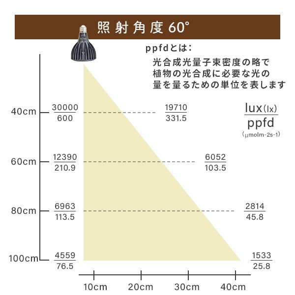 EVERSUN365 エバーサン サンロクゴー EVERSUN365 ゼンスイ【10％オフクーポン対象】