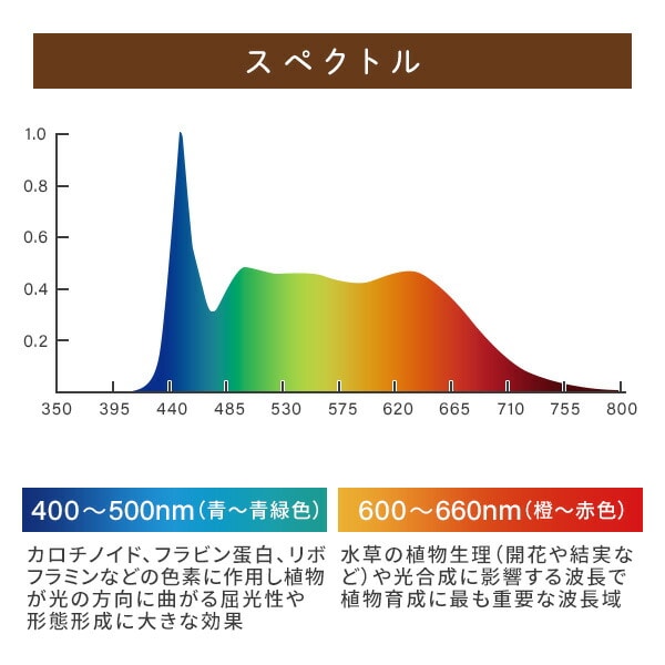 EVERSUN365 エバーサン サンロクゴー EVERSUN365 ゼンスイ【10％オフクーポン対象】