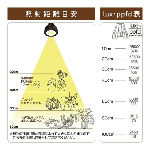 EVERSUN365 MINI エバーサン サンロクゴー ミニ EVERSUN365 MINI ブラック ゼンスイ【10％オフクーポン対象】