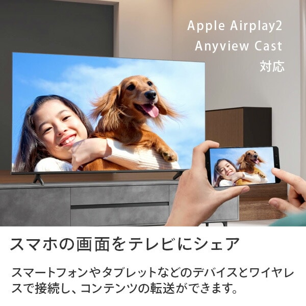 4K液晶テレビ 43V型 3年保証 BS/CS 4Kチューナー内蔵 Apple Airplay2/Anyview Cast 対応 43E6K ハイセンスジャパン