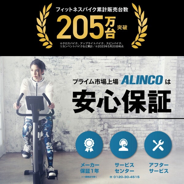 エアロマグネティックミニバイク Kinomap対応 AFB2223 アルインコ 