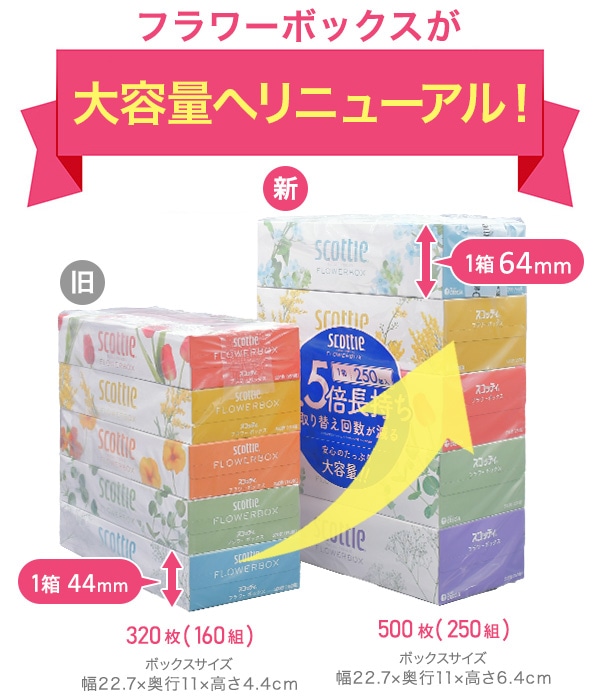 スコッティ ティッシュペーパー フラワーボックス 500枚(250組) 5箱×12パック(60箱) 日本製紙クレシア