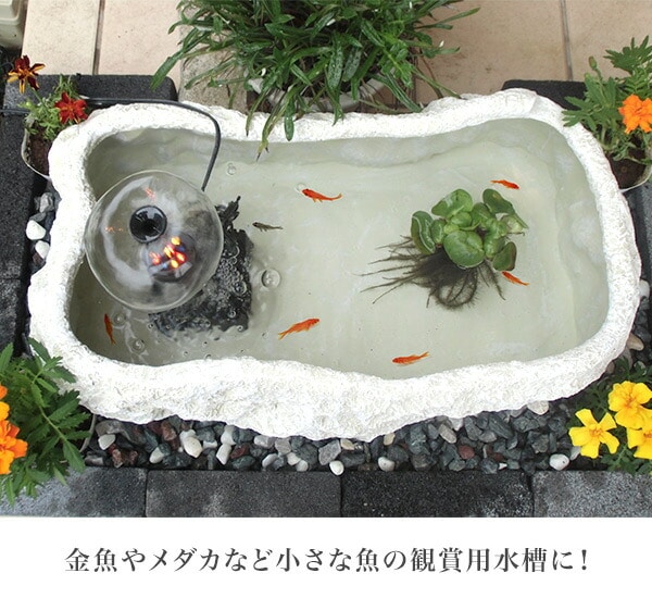 置き型 観賞魚水槽 庭園 池 マーブルボンド 30L 幅60cm 奥行30cm 高さ20cm ゼンスイ