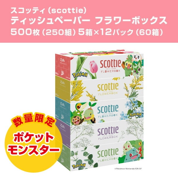 【在庫限り／ポケモン仕様】 スコッティ ティッシュペーパー フラワーボックス 500枚(250組) ポケモン 5箱×12パック(60箱) 41349 日本製紙クレシア