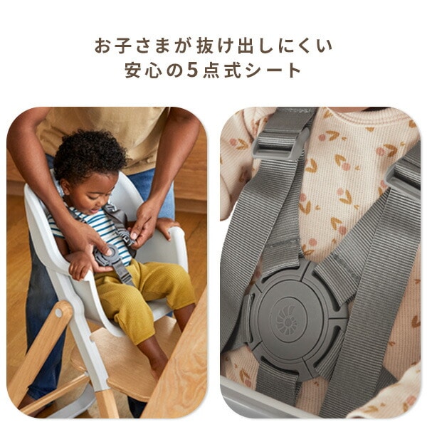 evolve ベビーチェア ハイチェア 組み立て簡単 工具不要 FTEGEVLHCDKWD/FTEGEVLHCLTWD エルゴベビー Ergobaby