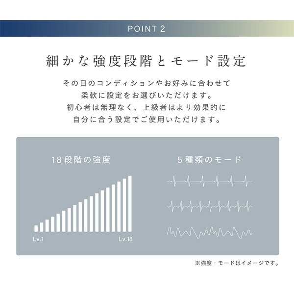 EMSマット レッグ 充電式 リモコン付き 18段階強度調節 5種モード MCB050 ブラック アルインコ ALINCO