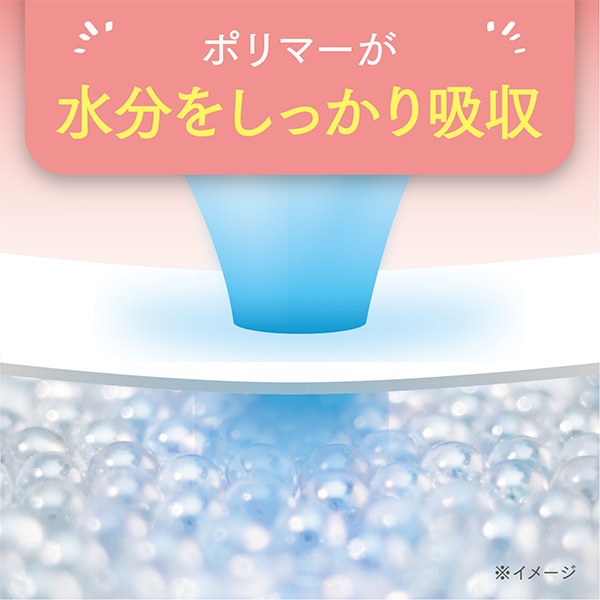ポイズ さらさら吸水 吸水ナプキン 40cc 無香料 日本製22枚×12(264枚) (無地ダンボール仕様) 日本製紙クレシア