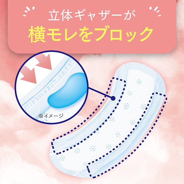 ポイズ さらさら吸水 吸水ナプキン 40cc 無香料 日本製22枚×12(264枚) (無地ダンボール仕様) 日本製紙クレシア