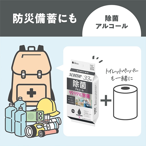スコッティ ウェットティッシュ 除菌 アルコール 携帯用 33枚×24パック 【ケース販売】 日本製紙クレシア