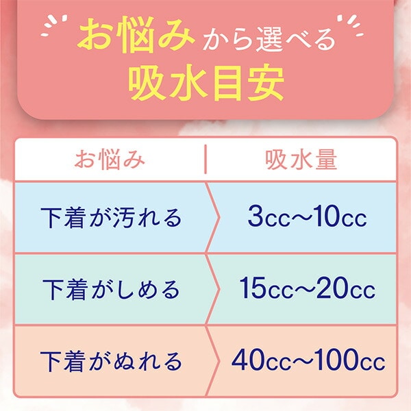 ポイズ さらさら吸水ナプキン 安心の少量用(吸収量目安40cc) 22枚×12(264枚) 日本製紙クレシア