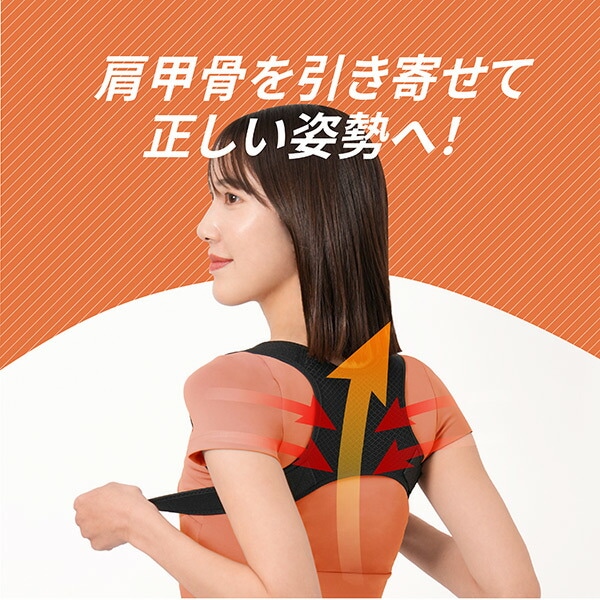 背中のミカタ 姿勢サポーター 姿勢ベルト 猫背ベルト 補正 調整可能 男女兼用 EXG303SM/EXG303ML アルインコ ALINCO