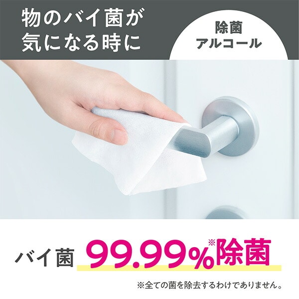 【10％オフクーポン対象】スコッティ ウェットティッシュ 除菌 アルコール つめかえ用 100枚×24パック (ケース販売) 日本製紙クレシア