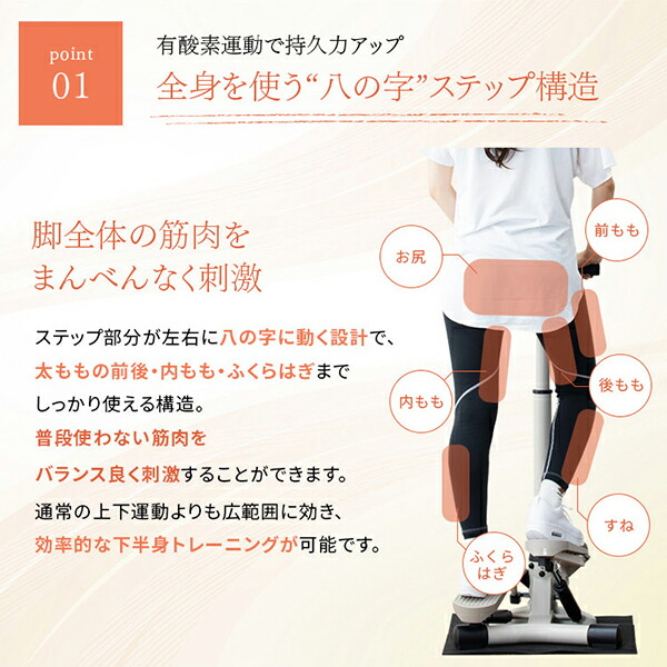 ハンドル付きステッパー 保護マット付き コンパクト 有酸素運動 室内 1年保証 AFA4026C アルインコ ALINCO
