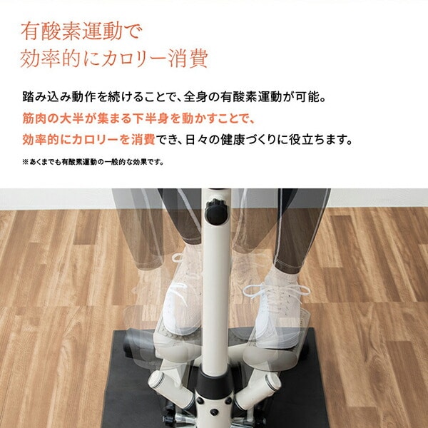 ハンドル付きステッパー 保護マット付き コンパクト 有酸素運動 室内 1年保証 AFA4026C アルインコ ALINCO