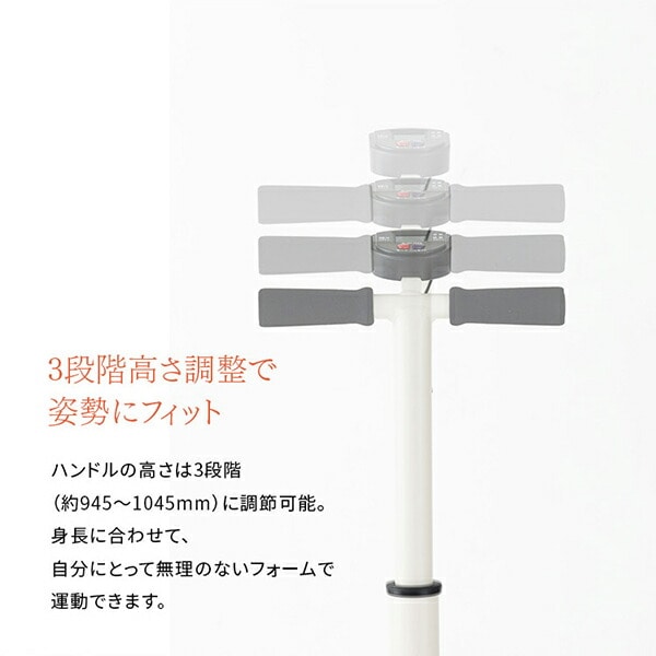 ハンドル付きステッパー 保護マット付き コンパクト 有酸素運動 室内 1年保証 AFA4026C アルインコ ALINCO