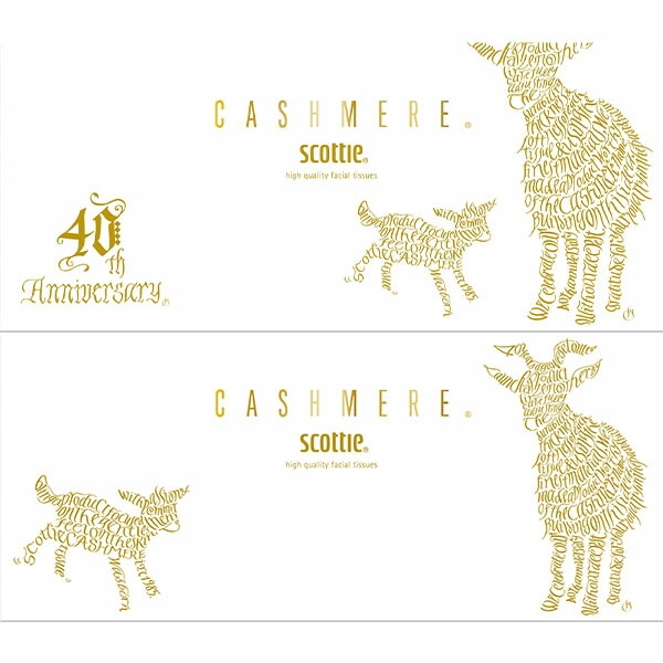 スコッティ カシミヤ ティッシュペーパー 40周年記念デザイン 440枚(220組)×10箱 日本製紙クレシア