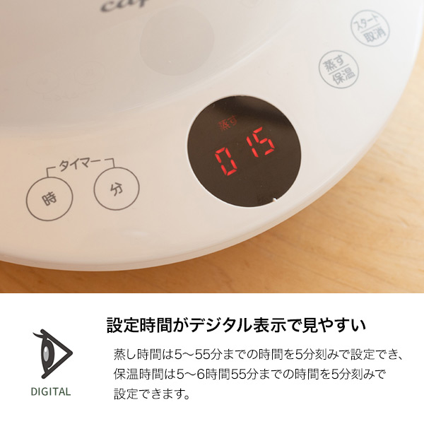 スチーム名人 かんたん蒸し器 L スチームクッカー 2段  SE-003 太知HD アナバス ANABAS