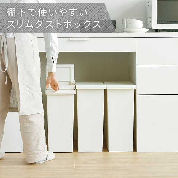 ダストボックス ゴミ箱 SOLOW ソロウ レバーオープン 30L GSLW035/GSLW036/GSLW037 日本製 リス RISU