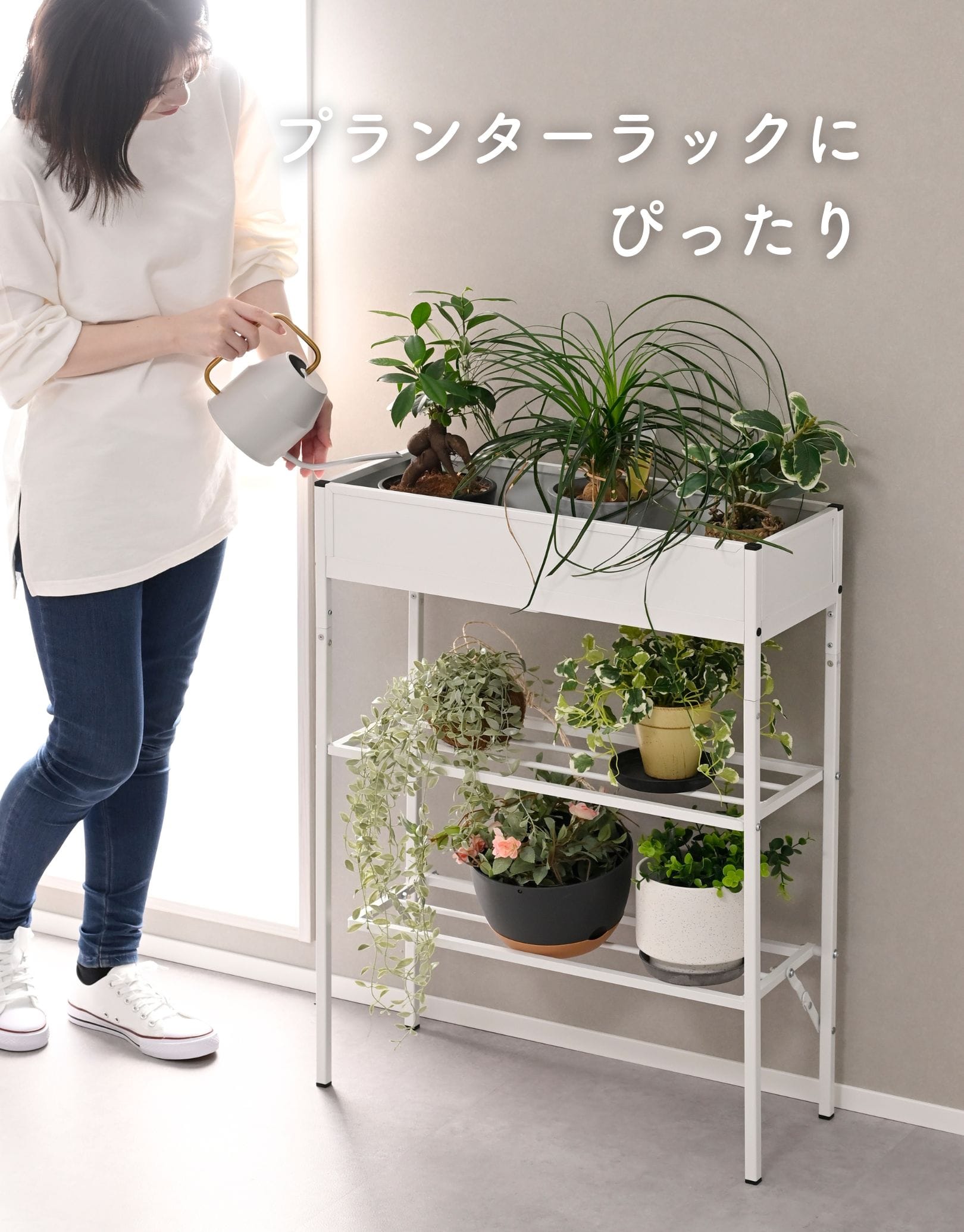 玄関収納ラック シューズラック KGR-6080 山善 YAMAZEN
