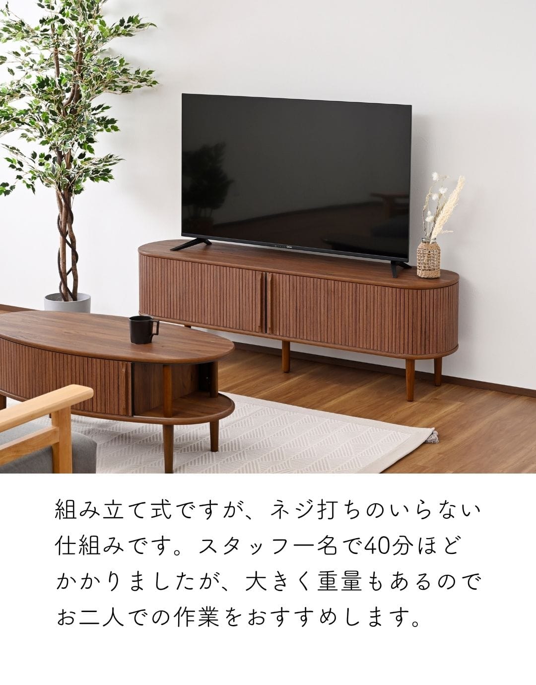 【10％オフクーポン対象】テレビ台 テレビボード 引き戸 蛇腹 幅150 奥行38 高さ48cm 山善 YAMAZEN